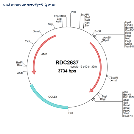 R&D Systems RDC2637 image 1