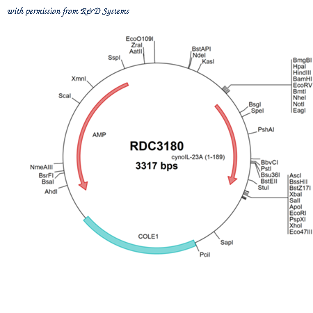 R&D Systems RDC3180 image 1