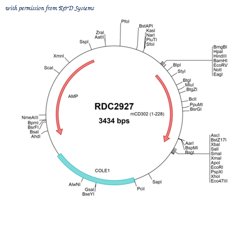 R&D Systems RDC2927 image 1