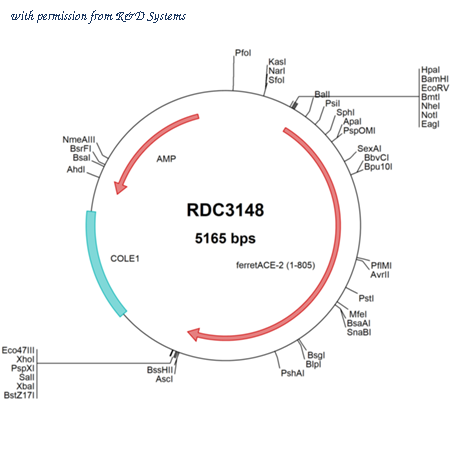 R&D Systems RDC3148 image 1
