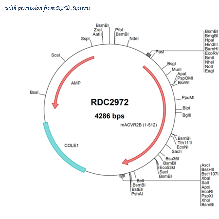 R&D Systems RDC2972 image 1