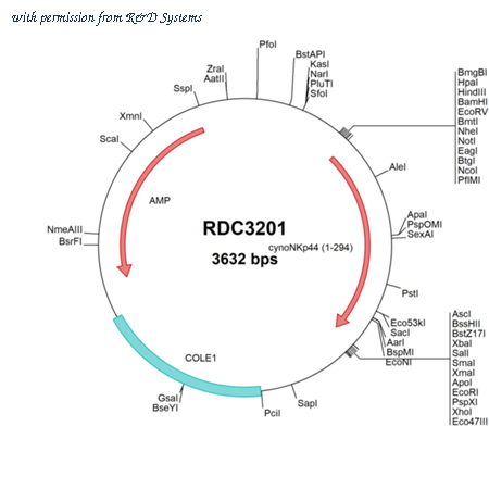 R&D Systems RDC3201 image 1