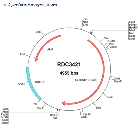 R&D Systems RDC3421 image 1
