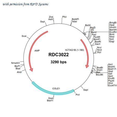 R&D Systems RDC3022 image 1