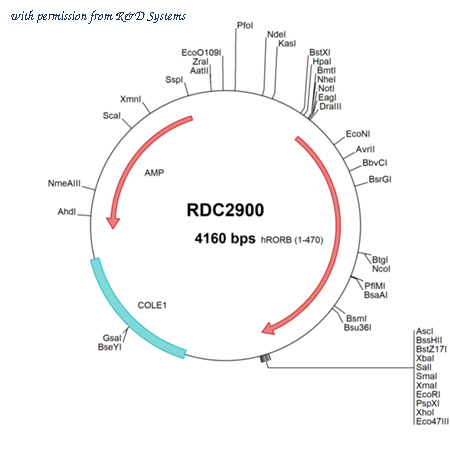 R&D Systems RDC2900 image 1