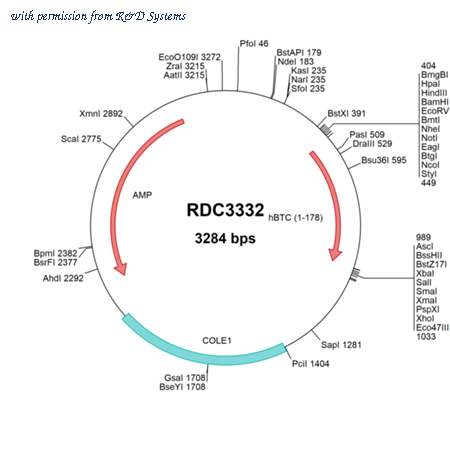 R&D Systems RDC3332 image 1