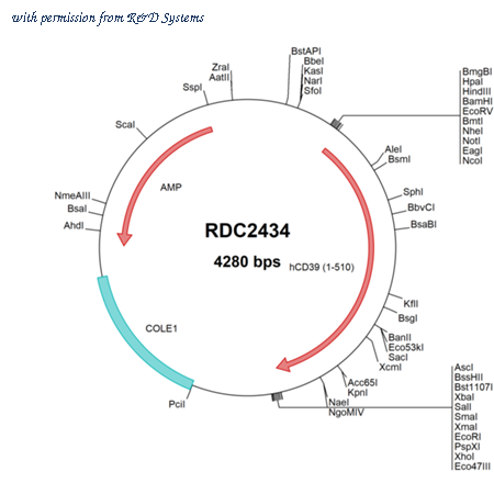R&D Systems RDC2434 image 1