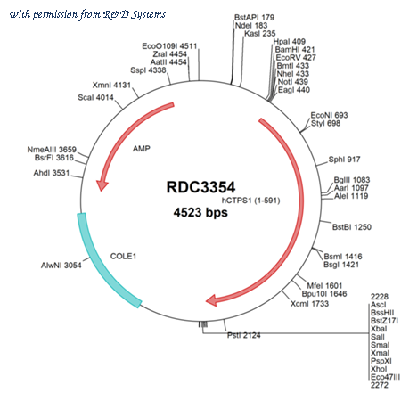 R&D Systems RDC3354 image 1