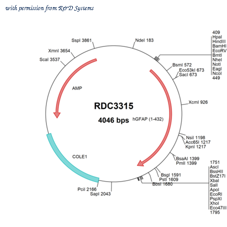 R&D Systems RDC3315 image 1