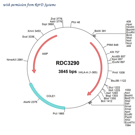 R&D Systems RDC3290 image 1