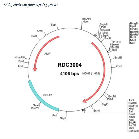 R&D Systems RDC3004 image 1