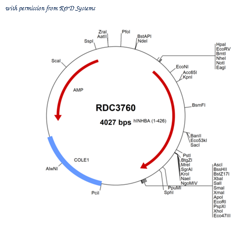 R&D Systems RDC3760 image 1