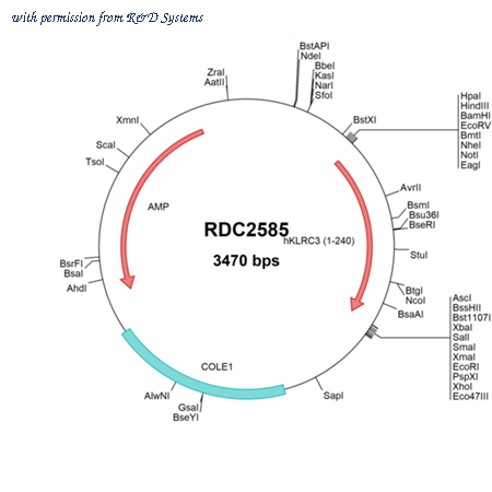 R&D Systems RDC2585 image 1