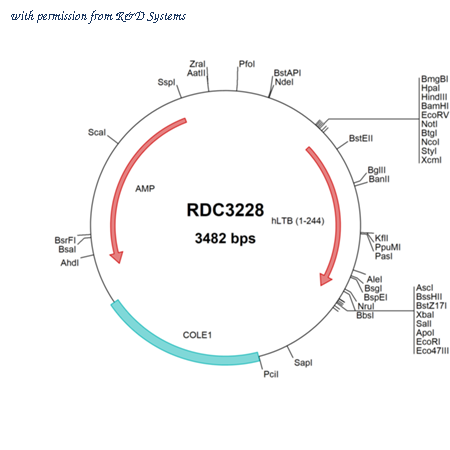 R&D Systems RDC3228 image 1