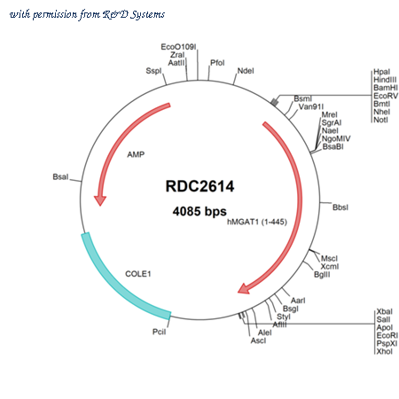 R&D Systems RDC2614 image 1