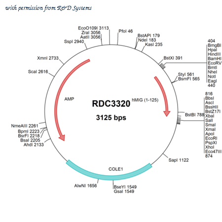 R&D Systems RDC3320 image 1