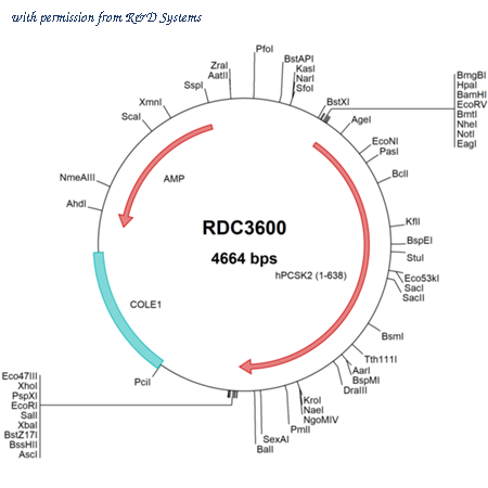 R&D Systems RDC3600 image 1