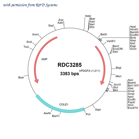 R&D Systems RDC3285 image 1