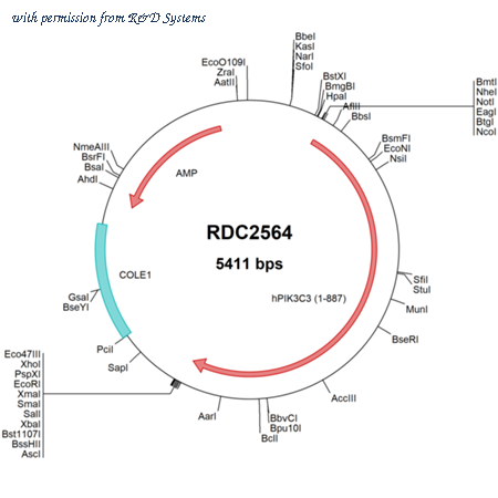 R&D Systems RDC2564 image 1