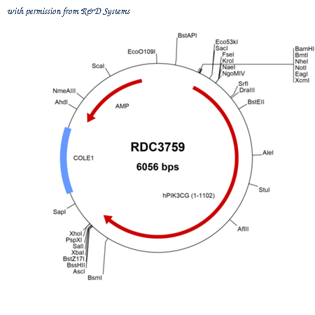 R&D Systems RDC3759 image 1