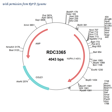 R&D Systems RDC3365 image 1