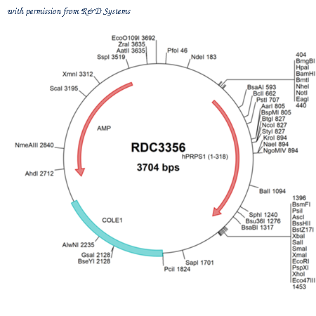 R&D Systems RDC3356 image 1