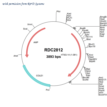 R&D Systems RDC2812 image 1