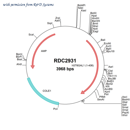 R&D Systems RDC2931 image 1
