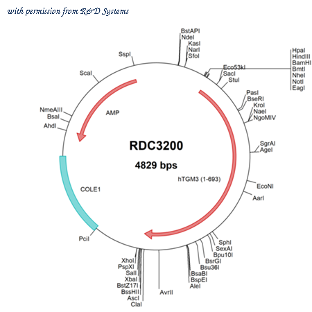 R&D Systems RDC3200 image 1