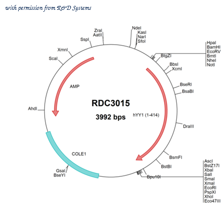 R&D Systems RDC3015 image 1