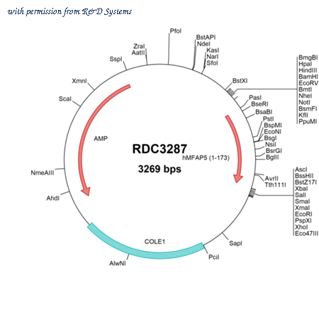 R&D Systems RDC3287 image 1
