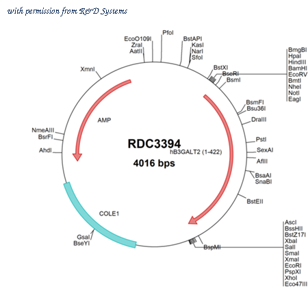 R&D Systems RDC3394 image 1