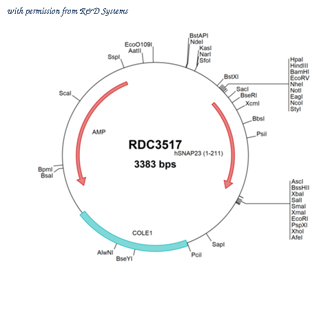 R&D Systems RDC3517 image 1