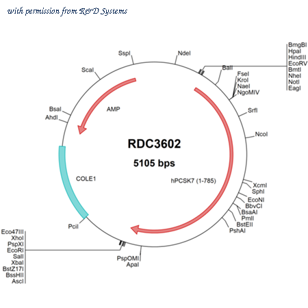 R&D Systems RDC3602 image 1