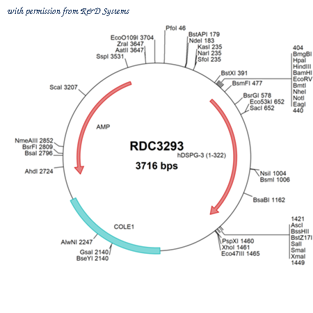 R&D Systems RDC3293 image 1