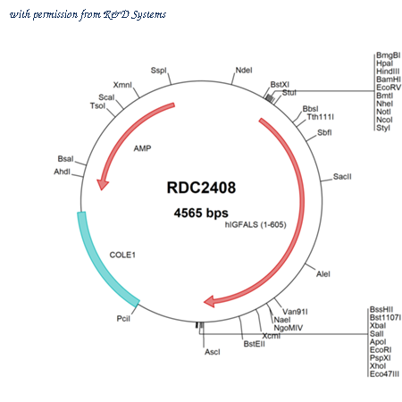 R&D Systems RDC2408 image 1