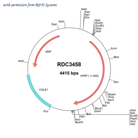 R&D Systems RDC3458 image 1