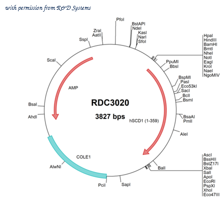 R&D Systems RDC3020 image 1