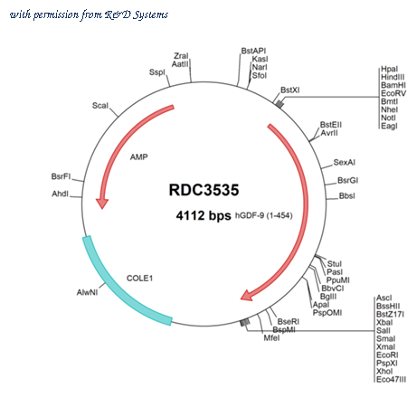 R&D Systems RDC3535 image 1