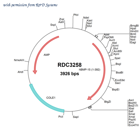R&D Systems RDC3258 image 1