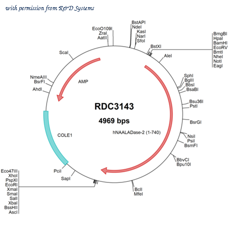 R&D Systems RDC3143 image 1