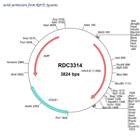 R&D Systems RDC3314 image 1