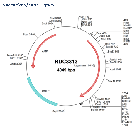 R&D Systems RDC3313 image 1