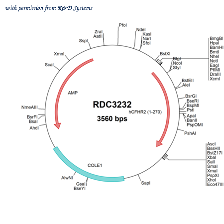 R&D Systems RDC3232 image 1