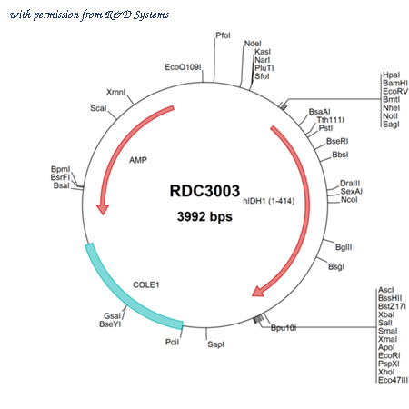 R&D Systems RDC3003 image 1