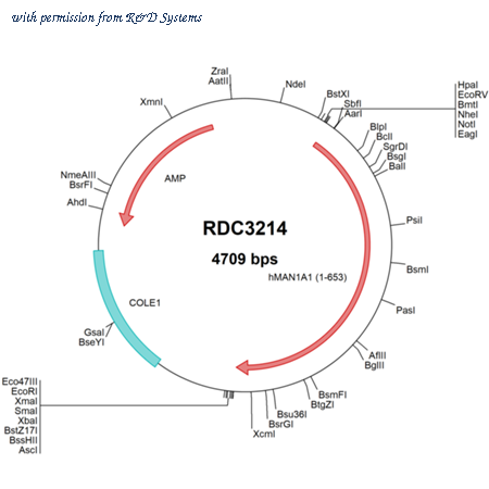 R&D Systems RDC3214 image 1
