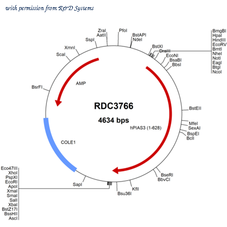 R&D Systems RDC3766 image 1