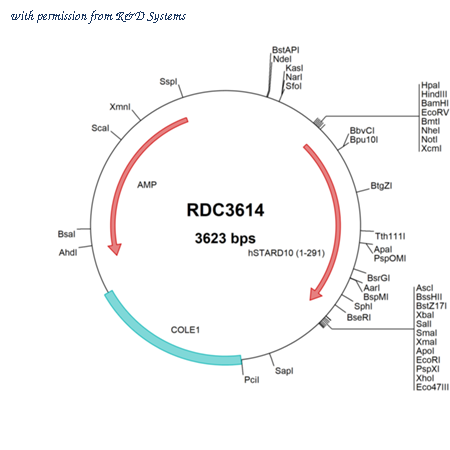 R&D Systems RDC3614 image 1