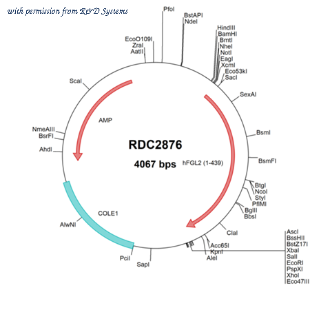 R&D Systems RDC2876 image 1