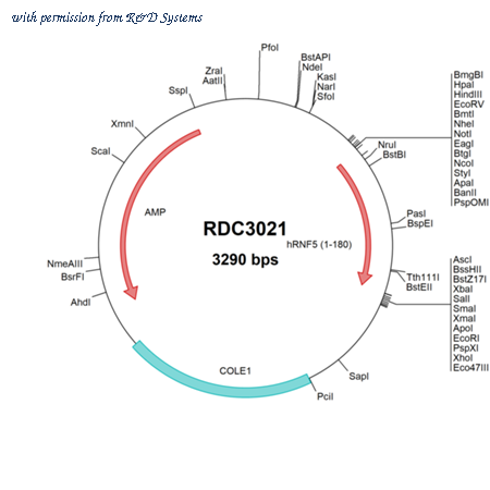 R&D Systems RDC3021 image 1